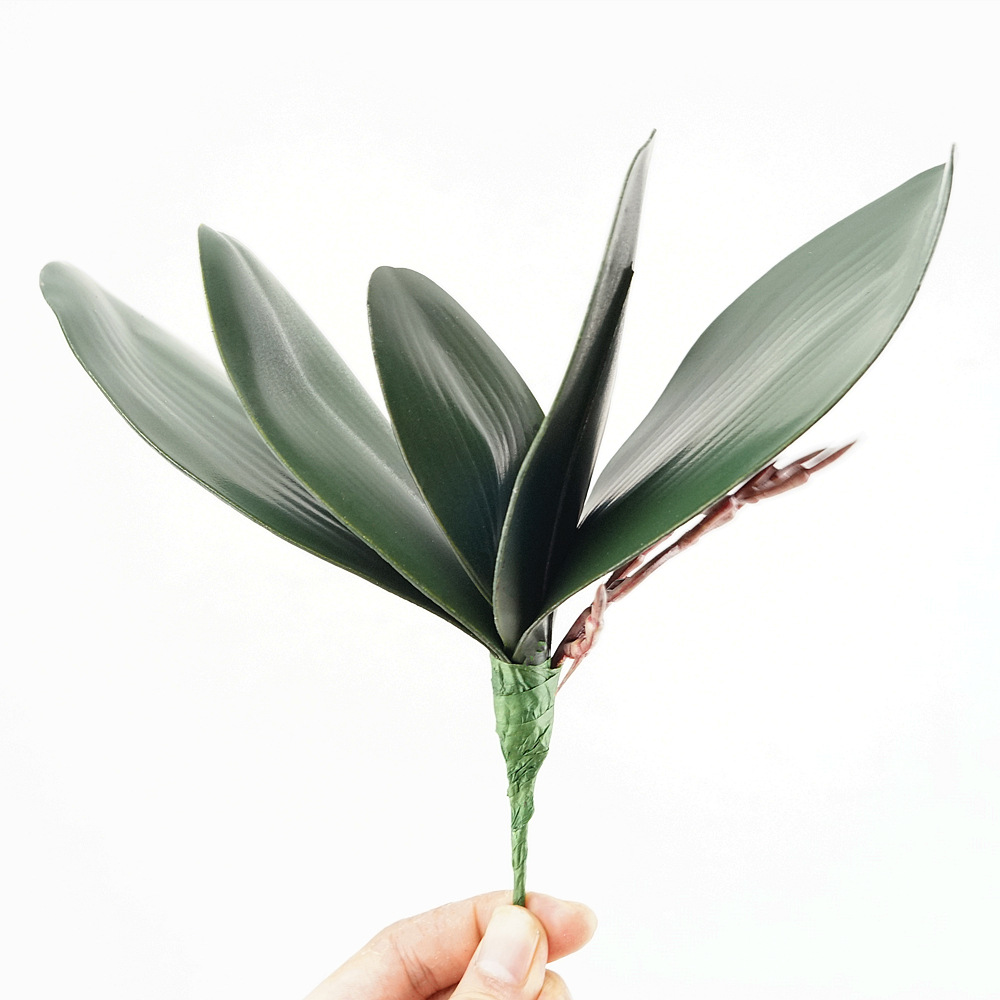 Home Decor Simulator - Simulation de feuilles de Phalaenopsis Eva,