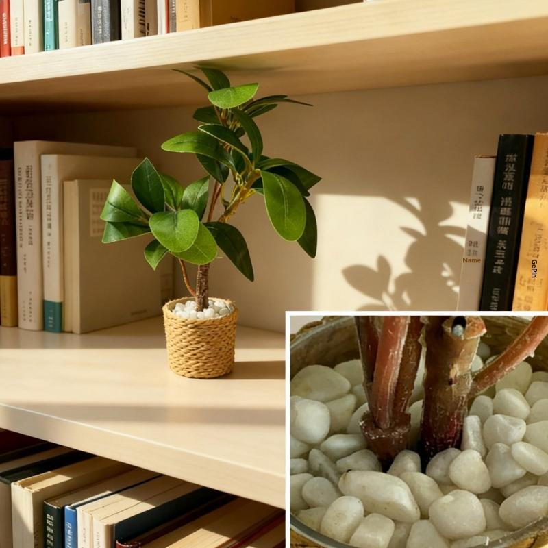Simulation de plante verte en  - Home Decor Simulator avis et prix