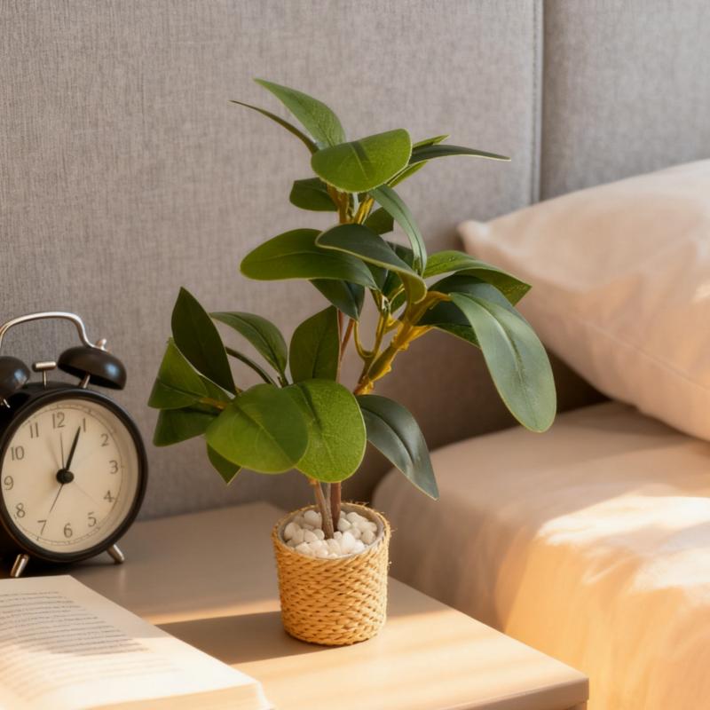 Simulation de plante verte en  - Home Decor Simulator avis et prix
