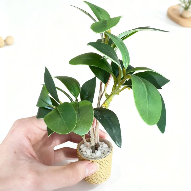 Simulation de plante verte en  - Home Decor Simulator avis et prix